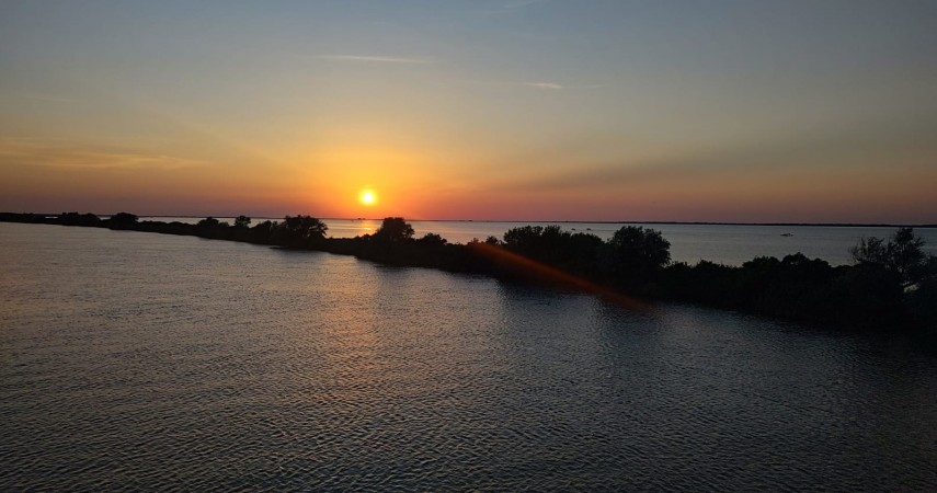 Apus în Deltă Sursă foto: ZIUA de Constanța