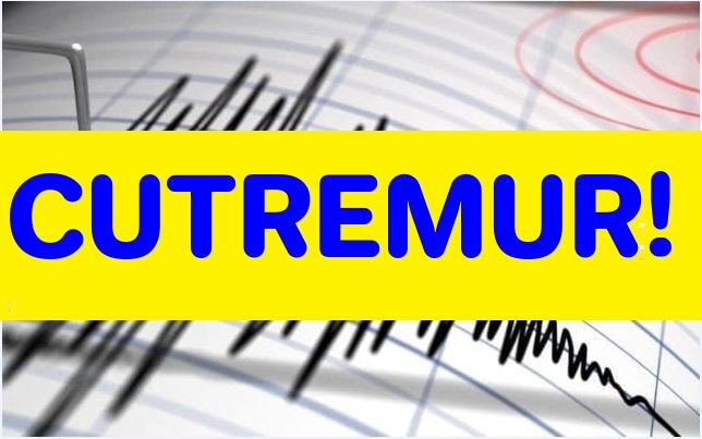 Cutremur în România! 