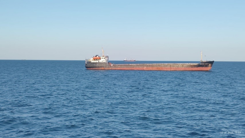 Nave la Sulina. foto: ZIUA de Constanța