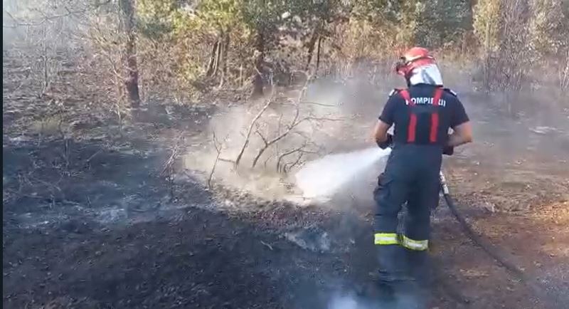 Incendiu în Frața, foto: IGSU 
