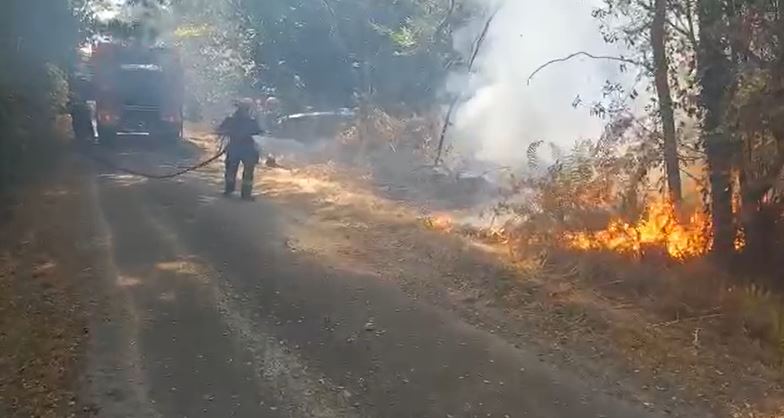 Incendiu în Frața, foto: IGSU 