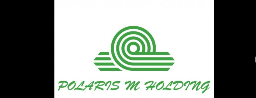 Polaris M Holding