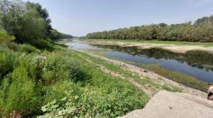 Județul Constanța Temperaturile ridicate își spun cuvântul! Canalul de la Oltina a secat (GALERIE FOTO+VIDEO) 