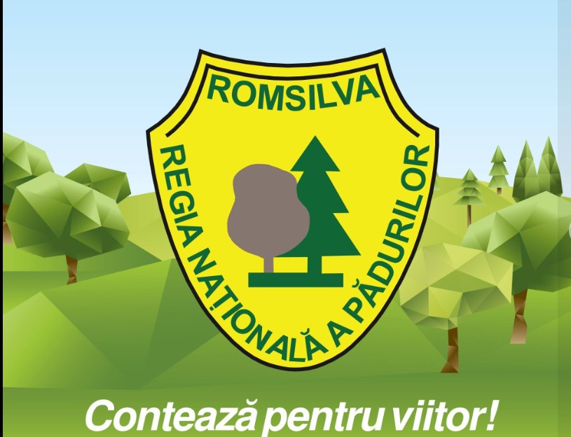 Romsilva