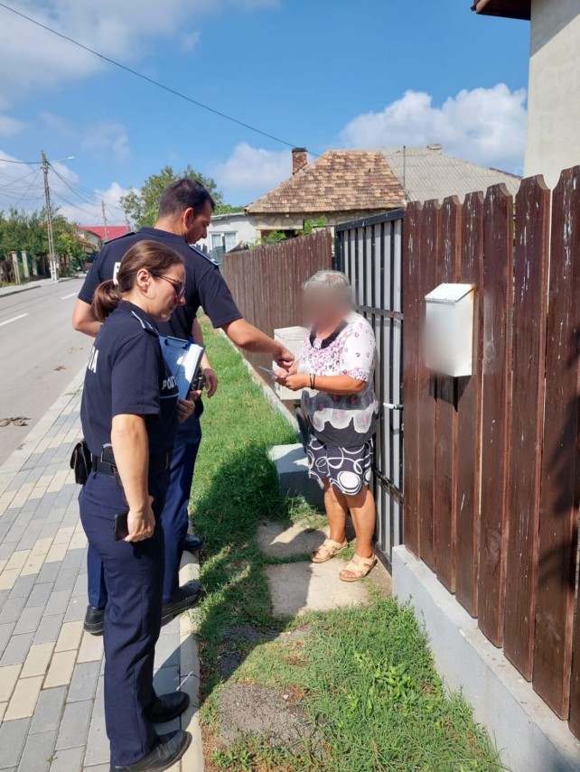 Campanie, foto: IPJ Constanța 