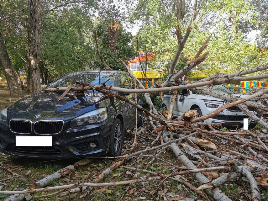 Vantul a facut ravagii la Constanta! Mai multe masini au fost sever avariate (GALERIE FOTO)  