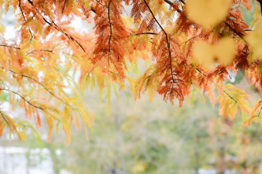 Meteo la malul mării, foto: Pexels 