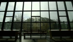 Cusha Advertising SRL, cu zece contracte publice, ar putea intra în insolvență! 