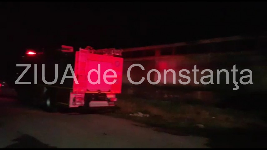 Cal cazut intr-un beci de trei metri, la Mereni