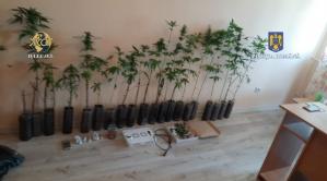 Percheziții la persoane suspectate de trafic de droguri de risc. Ce au găsit procurorii în locuințele suspecților (GALERIE FOTO)