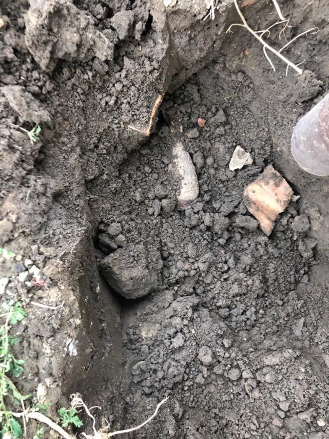caz socant la o locuinta un barbat a gasit o bomba neexplodata in razboi ingropata langa fundatia casei caz socant la o locuinta un barbat a gasit o bomba neexplodata in razboi ingropata langa fundatia casei