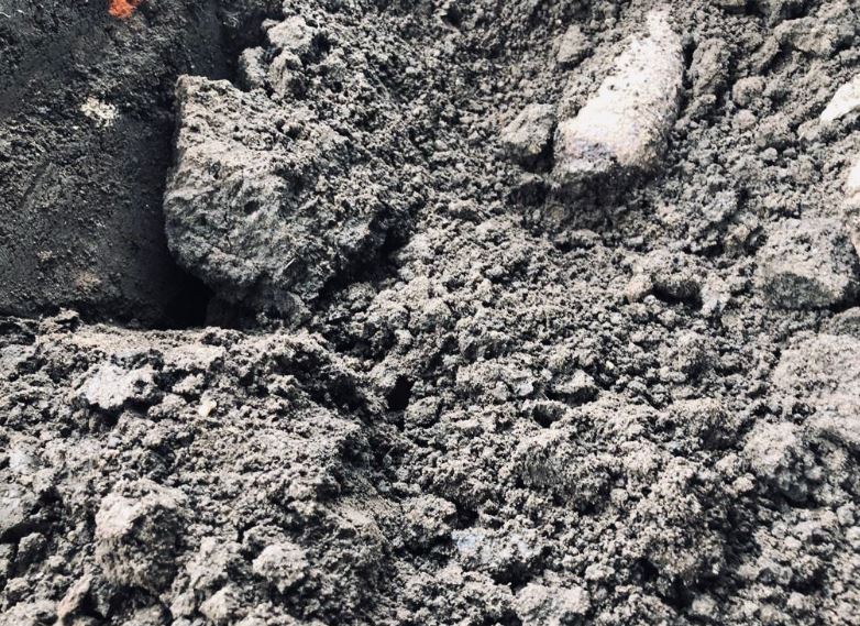 Caz socant la o locuinta: Un barbat a gasit o bomba neexplodata in razboi ingropata langa fundatia casei sale (GALERIE FOTO) 
