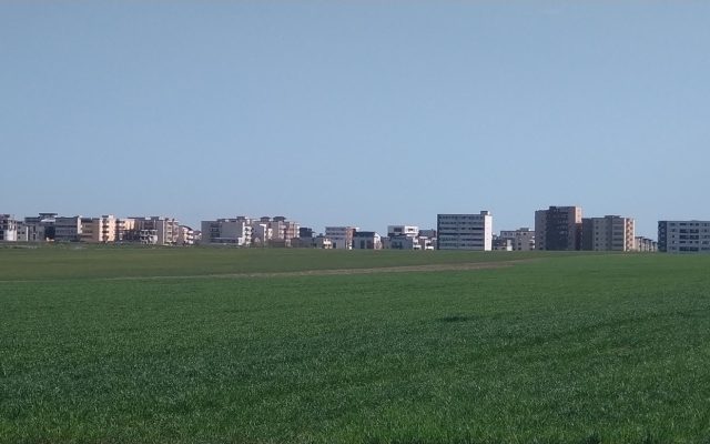 23 de proiecte intra astazi la jurizare in cadrul Concursului International de Solutii pentru realizarea parcului de pe DN3C 