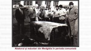 #citeșteDobrogea: Funcționarea abatoarelor în județul Constanța în perioada 1945-1955   