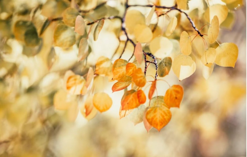 Meteo, foto: Unsplash 