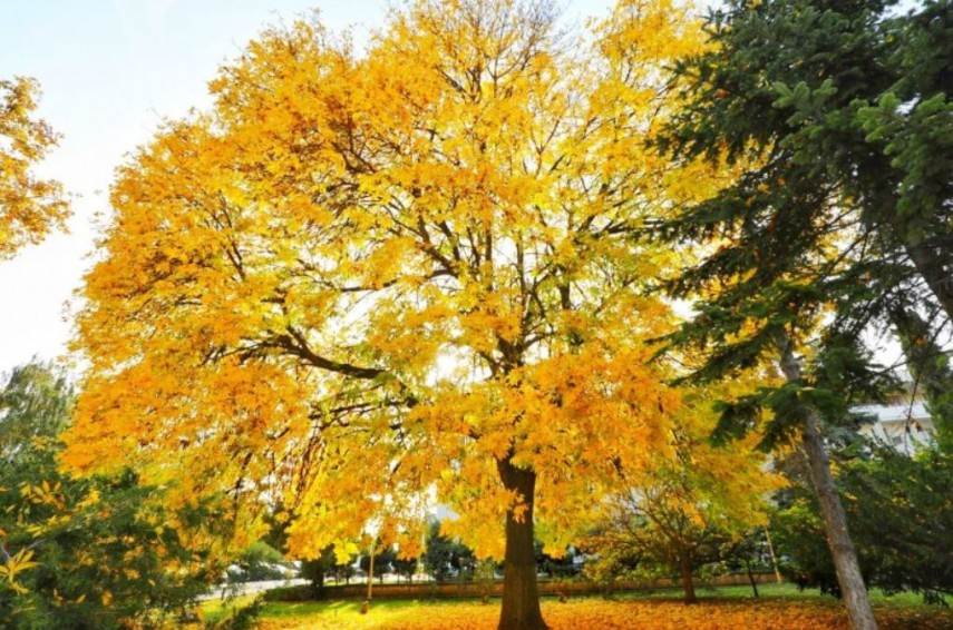 Vremea la Constanța, foto: Primăria Constanța 