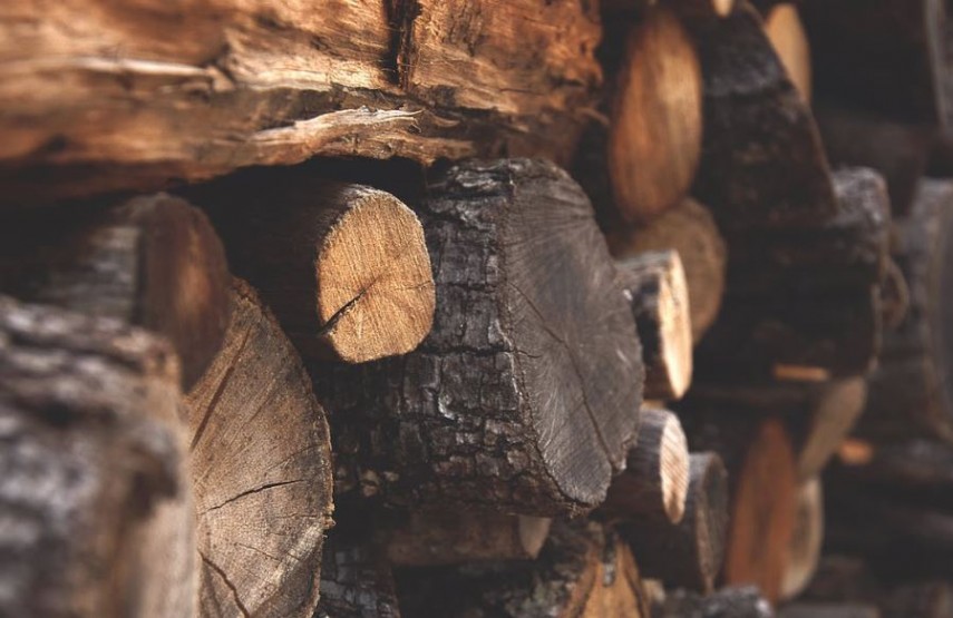 preţul lemnului de foc, foto: Pexels 