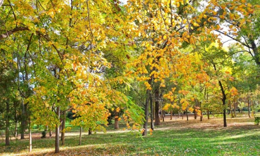 Prognoza meteo pentru urmatoarele doua saptamani. Cum debuteaza luna noiembrie la malul marii 