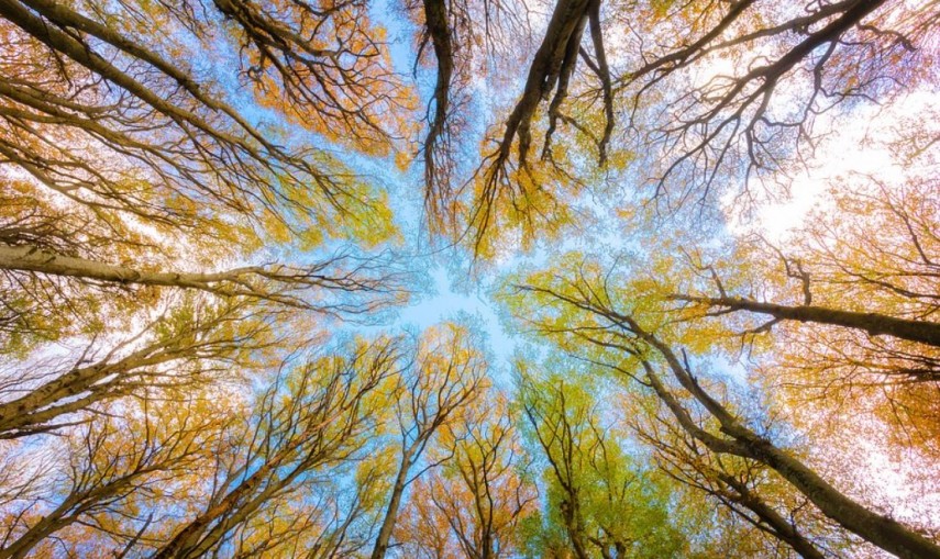 Vremea in zilele urmatoare in Dobrogea. Anuntul facut de meteorologi 