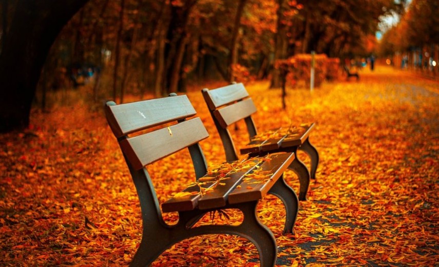 cea mai caldă lună octombrie, foto: Pixabay 