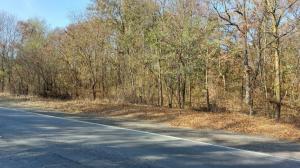 UPDATE Intervenţie de urgenţă în pădurea de la Murfatlar. Cadrele medicale chemate în ajutorul unei femei de 39 de ani. Ce s-a întâmplat (GALERIE FOTO)