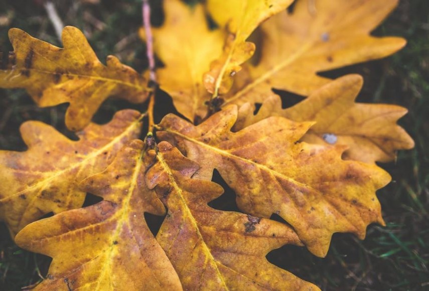 Meteo, foto: pexels 