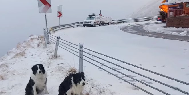 Ninsoare pe Transfagarasan. Foto: Facebook/Salvamont Argeș