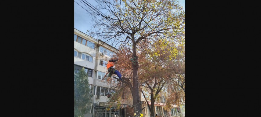 Foto: Primăria Constanța