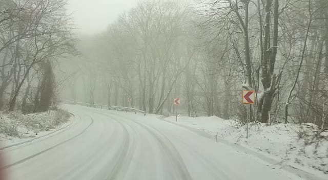 Ninsoare. Foto: ZIUA de Constanța