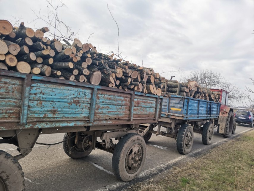 Transport de lemne. Foto: Facebook/IJJ Constanța