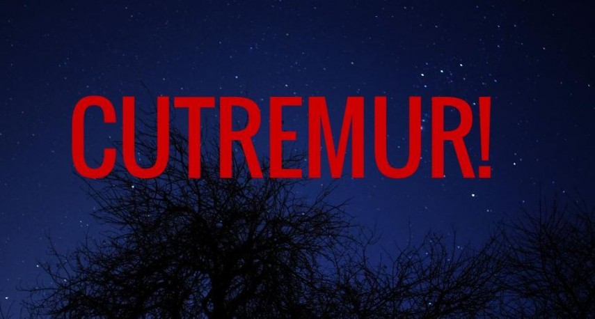 Cutremur în România