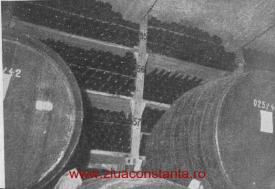 ​#StrăzidinConstanța - atunci și acum Murfatlar în anii 1960 (GALERIE FOTO)  