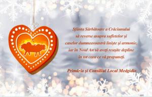 Primăria şi Consiliul Local Medgidia vă urează Sărbători Fericite!        