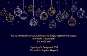 Organizația Județeană PNL vă urează Sărbători Fericite!