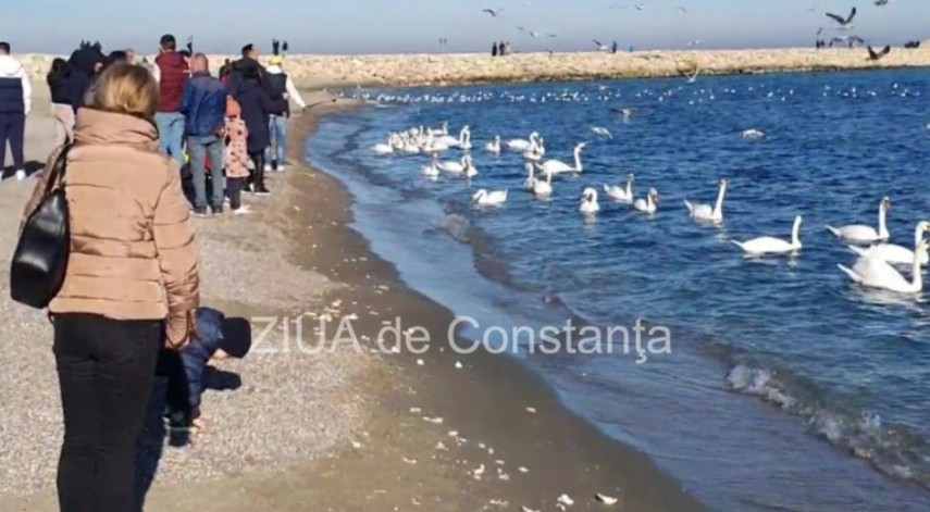 Cum va fi vremea la debutul saptamanii care urmeaza in Dobrogea 