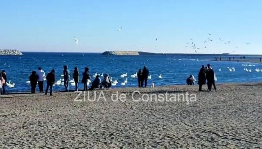 Vremea in Dobrogea. Iata cum vor evolua temperaturile in urmatoarele doua saptamani