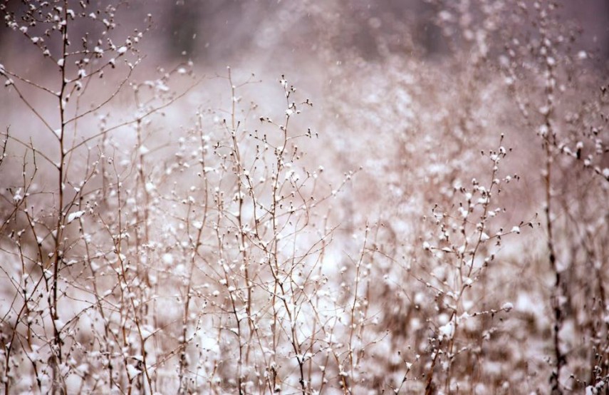 Meteo, foto: Pexels 