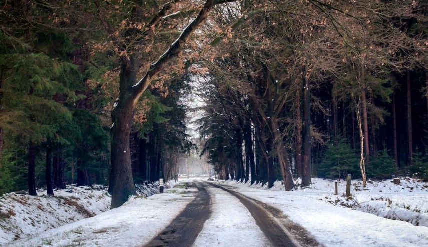 Situația traficului, foto: Pexels 