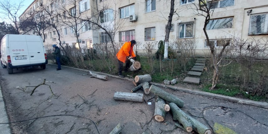 Foto: Primăria Constanța