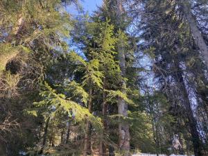 #ConstanțaEsteBine 8 februarie 2023 Proiectul anului 2023 – Cărți de suflet Cartea momentului. Detox sufletesc de Tukaram