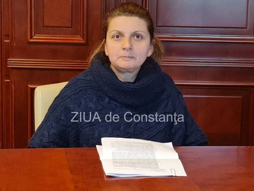  Irina Nicolae, Direcția pentru Cultură