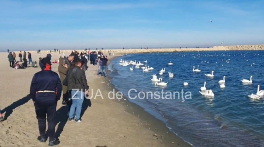 Prognoza meteo, pentru urmatoarele doua saptamani. Cand se va raci in Dobrogea