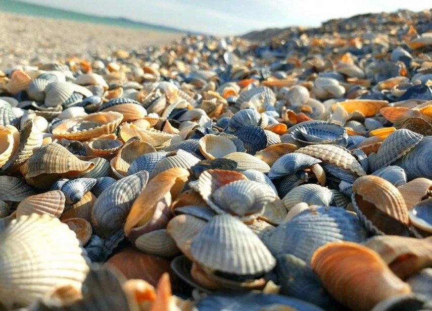 Vremea in Dobrogea in zilele urmatoare. Ce temperaturi se vor inregistra la malul marii 