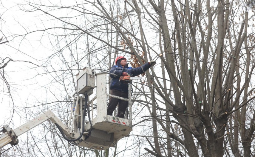 Sursa foto: Primăria Constanța