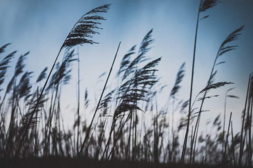 Meteo, foto: Unsplash 