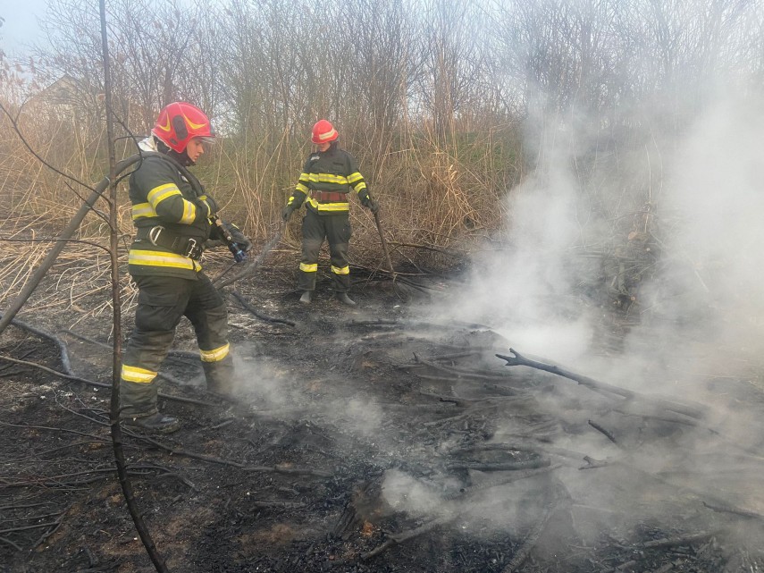 sursa foto: ISU Delta Tulcea