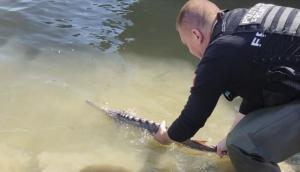 Garda de Coastă Ce au găsit polițiștii de frontieră în portbagajul unei mașini (FOTO+VIDEO) 