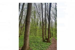 #ConstanțaEsteBine 5 aprilie 2023. Cu o zi înainte de luna plină. Furtună și iar furtună