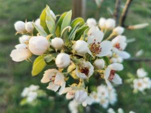 #ConstanțaEsteBine 21 aprilie 2023 Izvorul tămăduirii Vindecare profundă, vindecare în Suflet