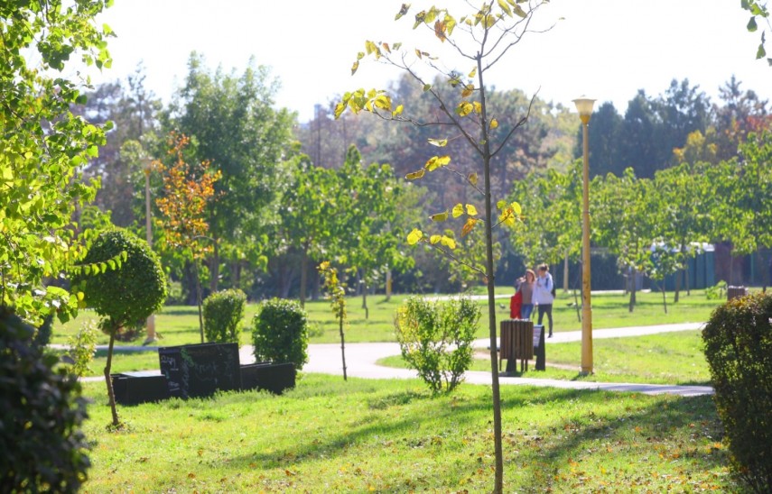 Sursa foto: Primăria Constanța